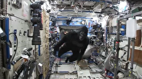 Uluslararası Uzay İstasyonu'nda goril şakası