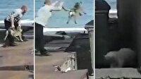 Rusya'da köpeği kutup ayısına yem ettiler!