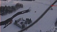 Norveç kartalı NATO dronunu düşürdü