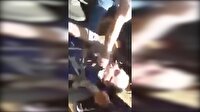 Suriye'de düşürülen uçağın pilotu yakalandı