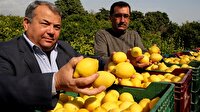 Zam şampiyonu belli oldu