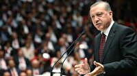 Cumhurbaşkanı Erdoğan üst mahkemeye gidiyor