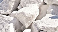 Hayvanların boyunu uzattı