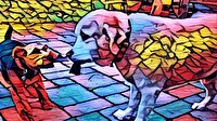 Prisma uygulaması indir! Prisma fotoğraf uygulaması artık Android’de!