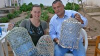 Damacanaya deniz kabuğundan kılıf
