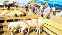 Kurban bayramı ne zaman? 2016 Kurban bayramı tatili kaç gün?