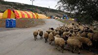 Kurban Bayramı tatili kaç gün olacak? Bayram tatili 2016 resmi açıklama