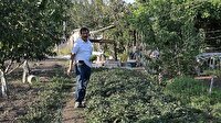 Bir dönümlük hobi bahçesine 42 çeşit ürün sığdırdı