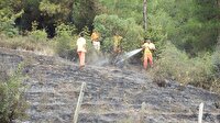 Sakarya Haber - Pamukova'da orman yangını: 1 ölü
