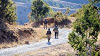 Tunceli'de 1 terörist öldürüldü