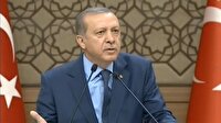 Erdoğan'dan Moodys'e: Bunların cebine parayı koy istediğin notu al