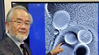 Nobel Tıp Ödülü Japon bilim adamı Ohsumi'nin! Yoshinori Ohsumi kimdir?