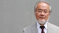 2016 Nobel Tıp Ödülü'nün sahibi belli oldu