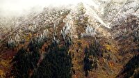 Doğu Karadeniz'deki yaylacılara kış uyarısı