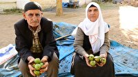9 çocuğu 'ceviz' ile okuttular