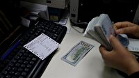1 Dolar ne kadar? 'Boz doları al tl kampanyası başladı!