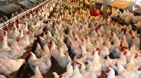 Çin'de büyük korku