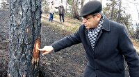 Sürmene'den iyi haber