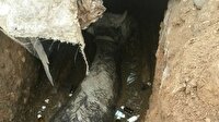 Çukura düşen boğayı itfaiye kurtardı