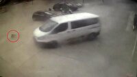 Araçla yavru köpekleri ezdi