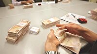 Hazine destekli kefalet arttı
