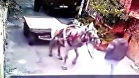 Ölen arkadaşlarının evini at arabasıyla soydular
