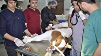 Siirt'te hayvan hastanesi açıldı