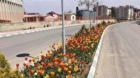 Konya haberleri: Beyşehir çiçeklerle süslendi