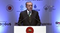 "Peygamber efendimize özlemimizi en iyi Hilyeler anlatıyor"