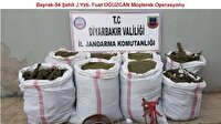 Diyarbakır’da operasyonlar sürüyor! Diyarbakır haberleri