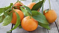 Dörtyol mandarini markalaşıyor