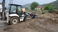 Aydın'daki sağanak çiftçileri olumsuz etkiledi