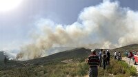 İzmir Bayındır'daki orman yangını sürüyor! İşte son gelişmeler