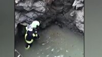 Denizli'de "tilki kurtarma" operasyonu