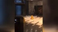 İstanbul'daki yağışta plazada inanılmaz görüntü