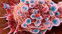 Jinekolojik kanserlere karşı önlemler