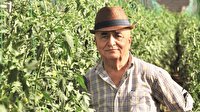 Otelimize tesettürlü gelmesin