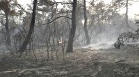Malkara'da orman yangını - Tekirdağ Haber