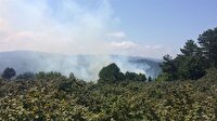 Zonguldak'ta çıkan orman yangını söndürüldü-Zonguldak haber