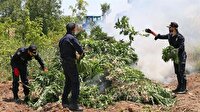 Diyarbakır'daki operasyonda uyuşturucu madde ele geçirildi