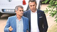Güneş defans Orman hücum