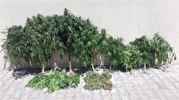 Manisa'da uyuşturucu operasyonu: 3 gözaltı
