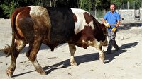 "Paşa"yı alana ilginç hediye