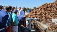 Bir fabrikadan 60 bin ton şeker