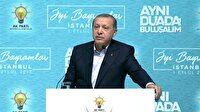 Erdoğan: Şehit ayrımı iddiası fitnedir