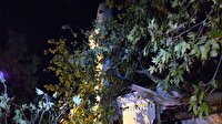 Beykoz'da asırlık çınar ağacı caminin üzerine devrildi