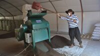 Merakla başladı: Kurduğu tesiste ayda 2 ton solucan gübresi üretiyor