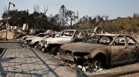 California'daki orman yangını 1 milyar dolar zarara yol açtı