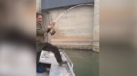 Nehirde devasa yayın balığı avı