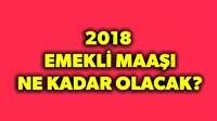 Emekli maaşı ne kadar oldu? 2018 emekli maaşı zam oranı!